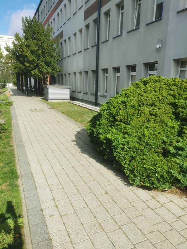 Opis altenatywny znajduje się w treści.