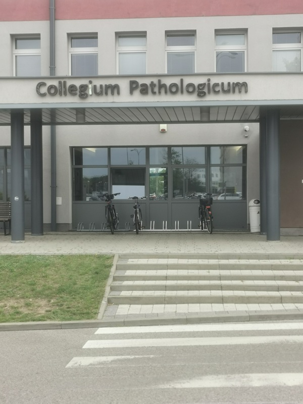 Opis altenatywny znajduje się w treści.