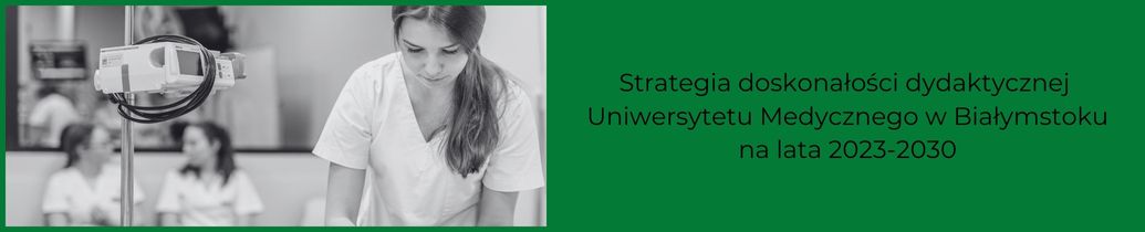 Strategia Doskonałości Dydaktycznej na lata 2023 – 2030. Element dekoracyjny