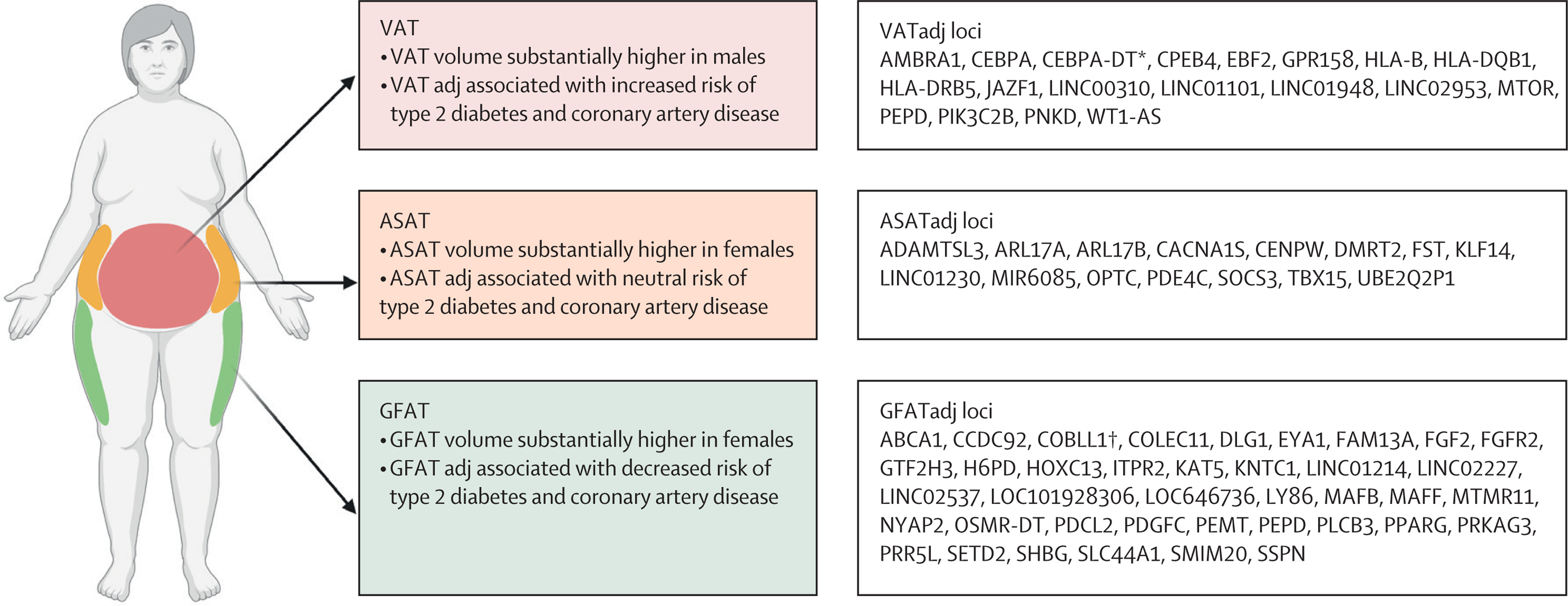 Grafika publikacji dr Szczerbińskiego o otyłości