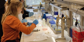 Link: Zajęcia z Projektu Biologia i chemia po akademicku 2 odbyły się 17 kwietnia w Zakładzie Chemii Leków