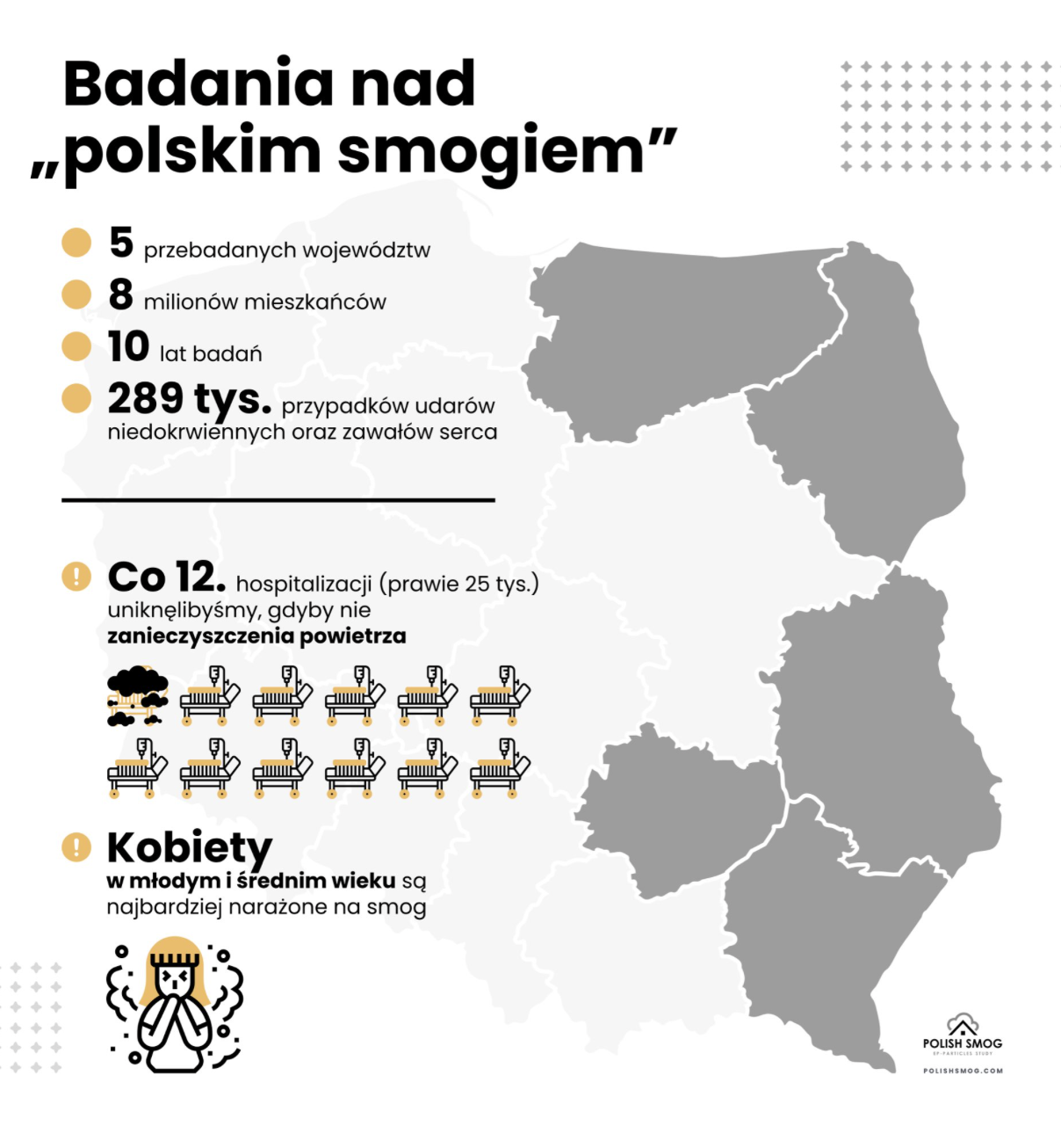 grafika dot. badania nad polskim smogiem