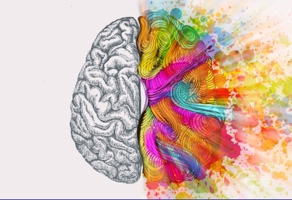 Link: Niezwykłe Tajemnice Mózgu