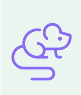 Fioletowa grafika szczura