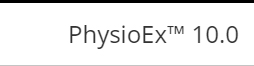 Wejście do Physioex
