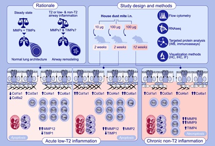 Link: Nowa publikacja naszego zespołu w czasopiśmie Allergy!