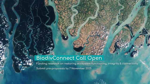 Link: Nowy konkurs BIODIVERSA+ „BiodivConnect”