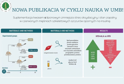 Link: Kwas α-liponowy wspiera ochronę mięśni w przebiegu insulinooporności.