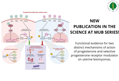 Link: A publication describing two different mechanisms of action of progesterone and a selective progesterone receptor modulator on uterine fibroids, published in the prestigious journal Fertility and Sterility
