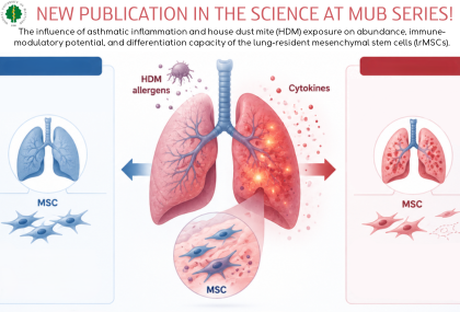 Link: The influence of allergic asthma on MSCs