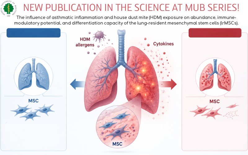 Odnośnik: The influence of allergic asthma on MSCs