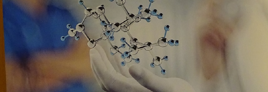 1 International workshop . 