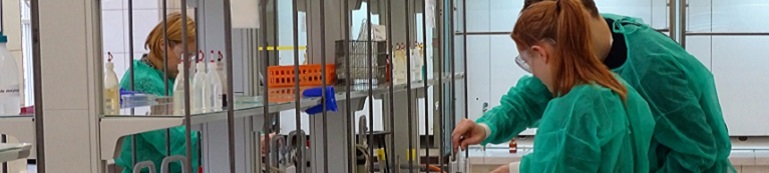 Zalety naszych kursów. 